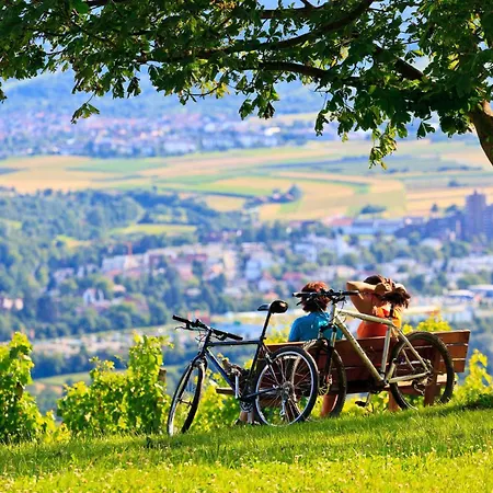 Express Stuttgart-waiblingen By Ihg Waiblingen (Stuttgart)